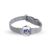 Biothane 領圈 方鈉石水晶項圈 - 海薰衣草 (Sodalite)